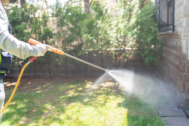 Professional Pest Control in Corbin, KY